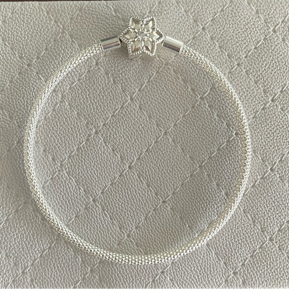 Authentic Pandora Limited Edition Mesh Bangle